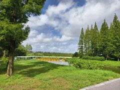 -黄海国家森林公园