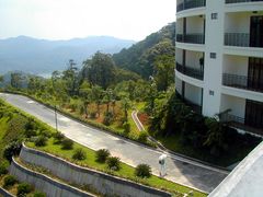 -广州市帽峰山景区