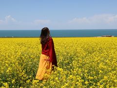 -青海湖国家重点风景名胜区
