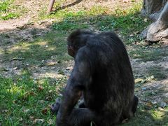 -上海野生动物园