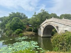 -桃花岛景观公园