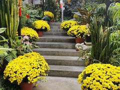 -Le Chalet Dalat