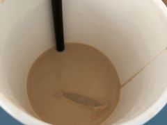 -熊猫一间店欧式奶茶铺