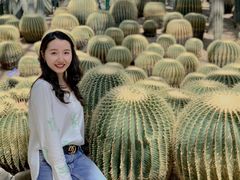 -南山植物园