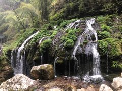 -三峡人家风景区