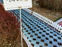 -娜娜家•Nana’Garden (福州道店)