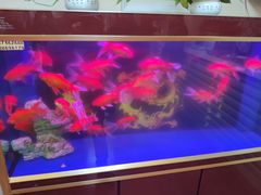 -青曲社相声(易俗街区店)