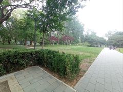 -元大都城垣遗址公园