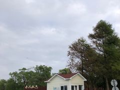 -春花秋色城市公园