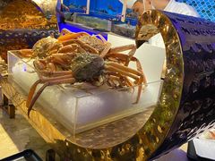 雪蟹腿-乔哥铭洋海鲜自助(皇城恒隆广场店)