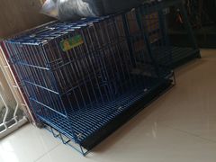 -精灵岛宠物生活馆(洪泽花园店)
