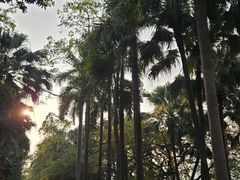 -南宁南湖公园