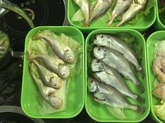 -蚝专家