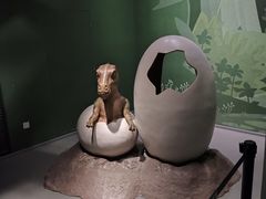 -山东博物馆