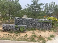 -爪吧宠物乐园 (温榆河示范区店)