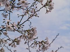 -西北湖绿化广场