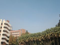 -广州市越秀区育才实验学校