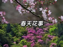 -黑河国家森林公园