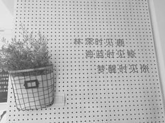 -白日梦奶茶
