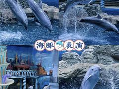-郑州海洋馆