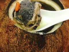 -達揚原味燉品(文明路店)