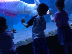 -左海海底世界