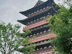 -祥源·阜阳生态乐园