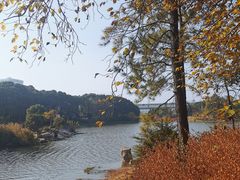 -美兰湖景区