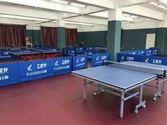 -梦想者乒乓球少儿运动中心(红桥店)