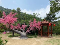 -东莞观音山旅游风景区