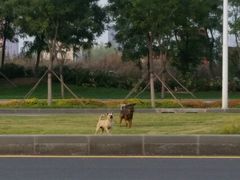 -辽宁中医药大学杏林学院(新校区)