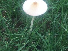 -明月山天沐温泉度假村