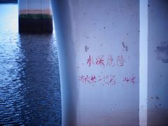 -五缘湾湿地公园