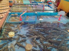 -山东八大碗山东老字号