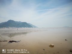 -北岐滩涂