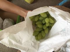 -马陆小张葡萄园农家乐