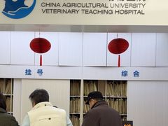 -中国农业大学动物医院