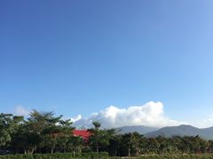 -亚龙湾国际玫瑰谷