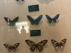 -陕西自然博物馆