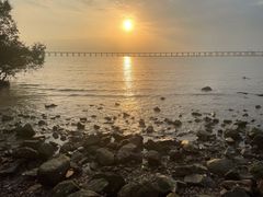 -宝安西湾红树林湿地公园