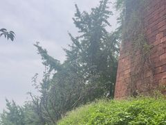 -香山寺