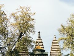 -北京石刻艺术博物馆(五塔寺)