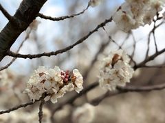 -昆嵛山石门里景区