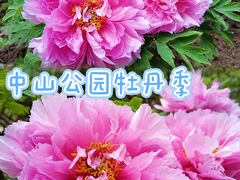 -中山公园