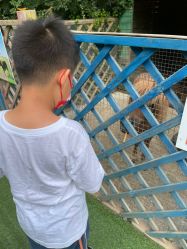 -萌宠亲子动物乐园(槐房万达店)