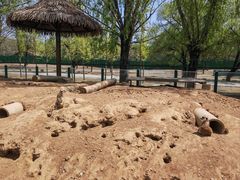 -秦皇岛野生动物园
