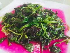 -蝶苑(吴江路店)