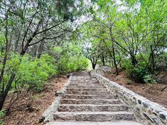 -香山公园