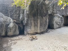 -南昌动物园