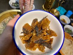 -土著渔匠·养生蝴蝶鱼(香樟路店)